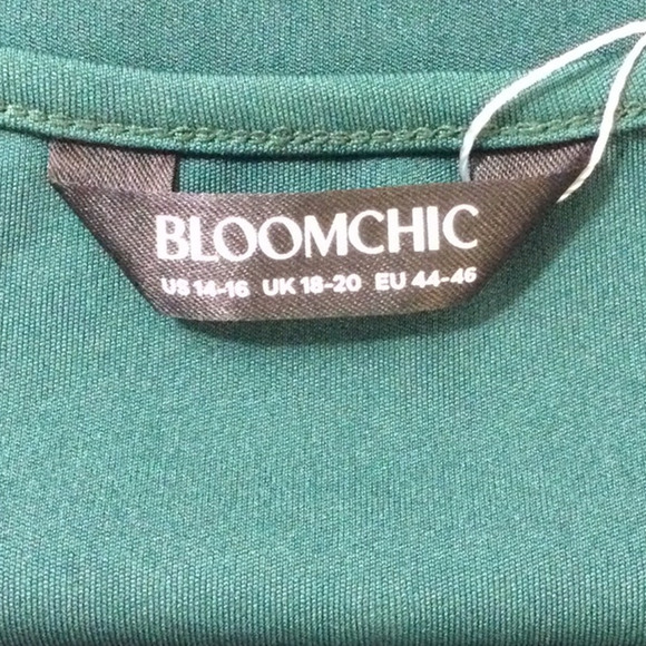 BloomChic Green Midi Dress with Sheer Sleeves - Picture 8 of 12